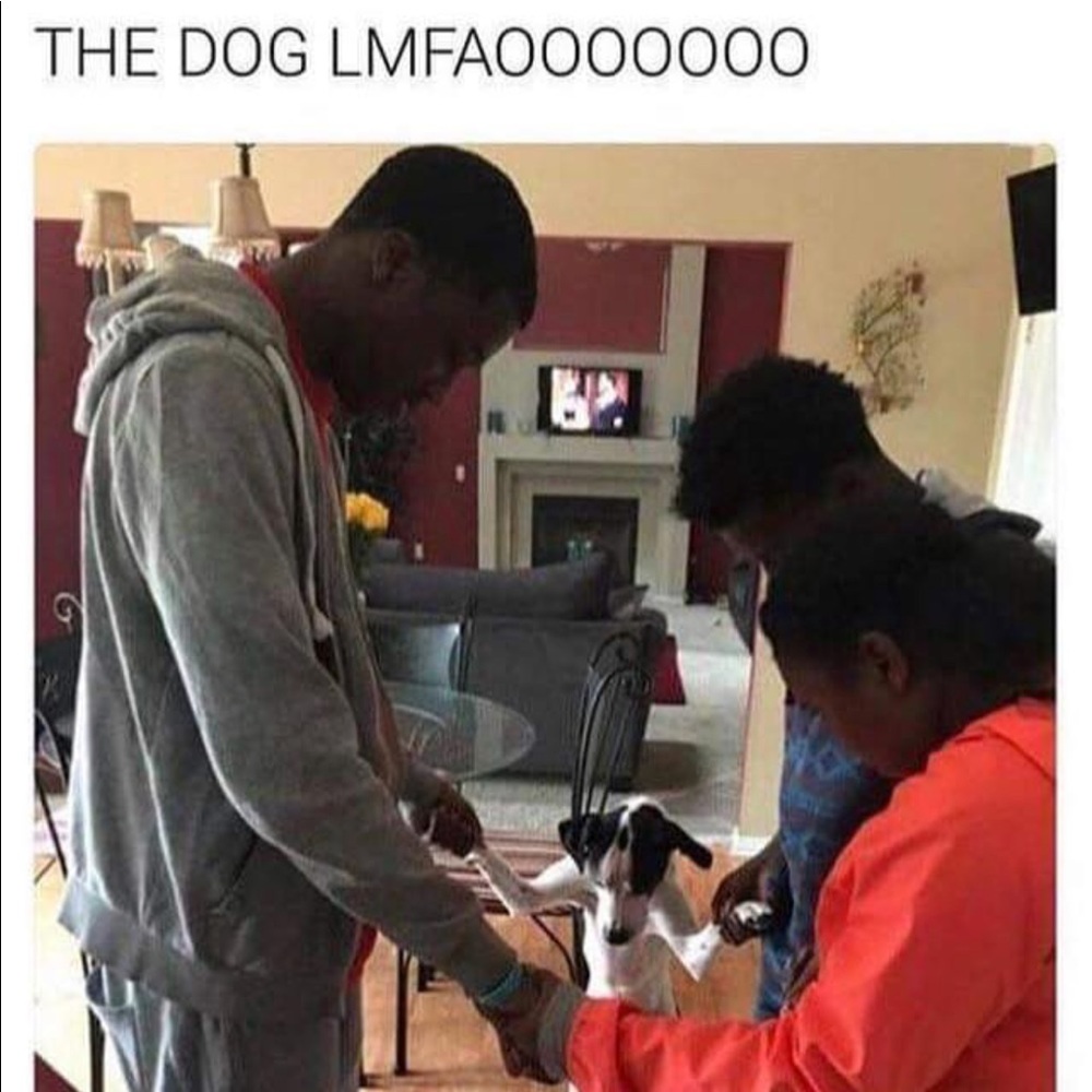 Meet your Posher, Safeer